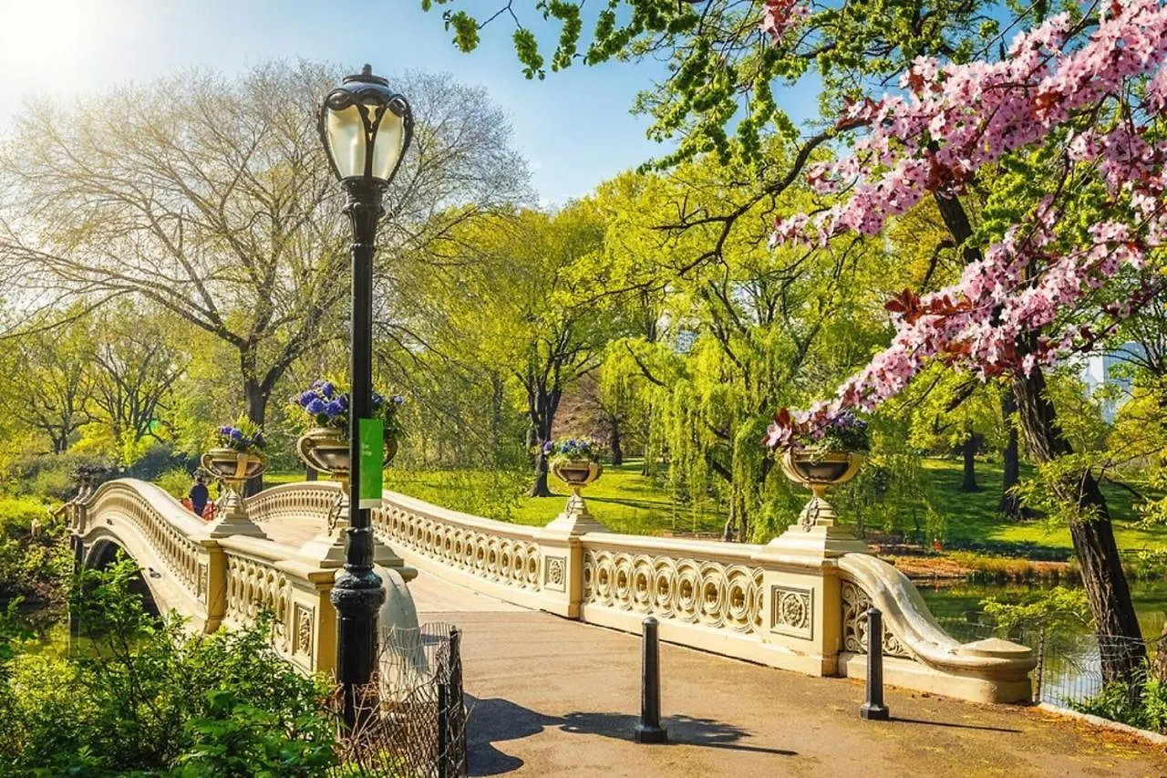 Contatti di Chelsea Condo - Near Restaurants, Shops,&Trains